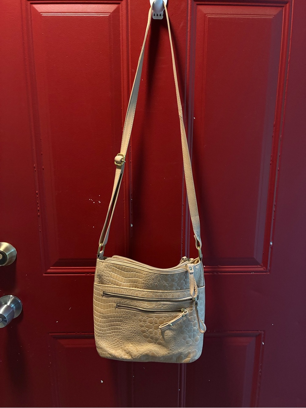 Neutral Taupe Croc-Texture Crossbody Bag with Front Zip Pockets